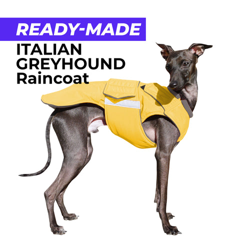 ITALIAN GREYHOUND RAINCOAT - READY-MADE