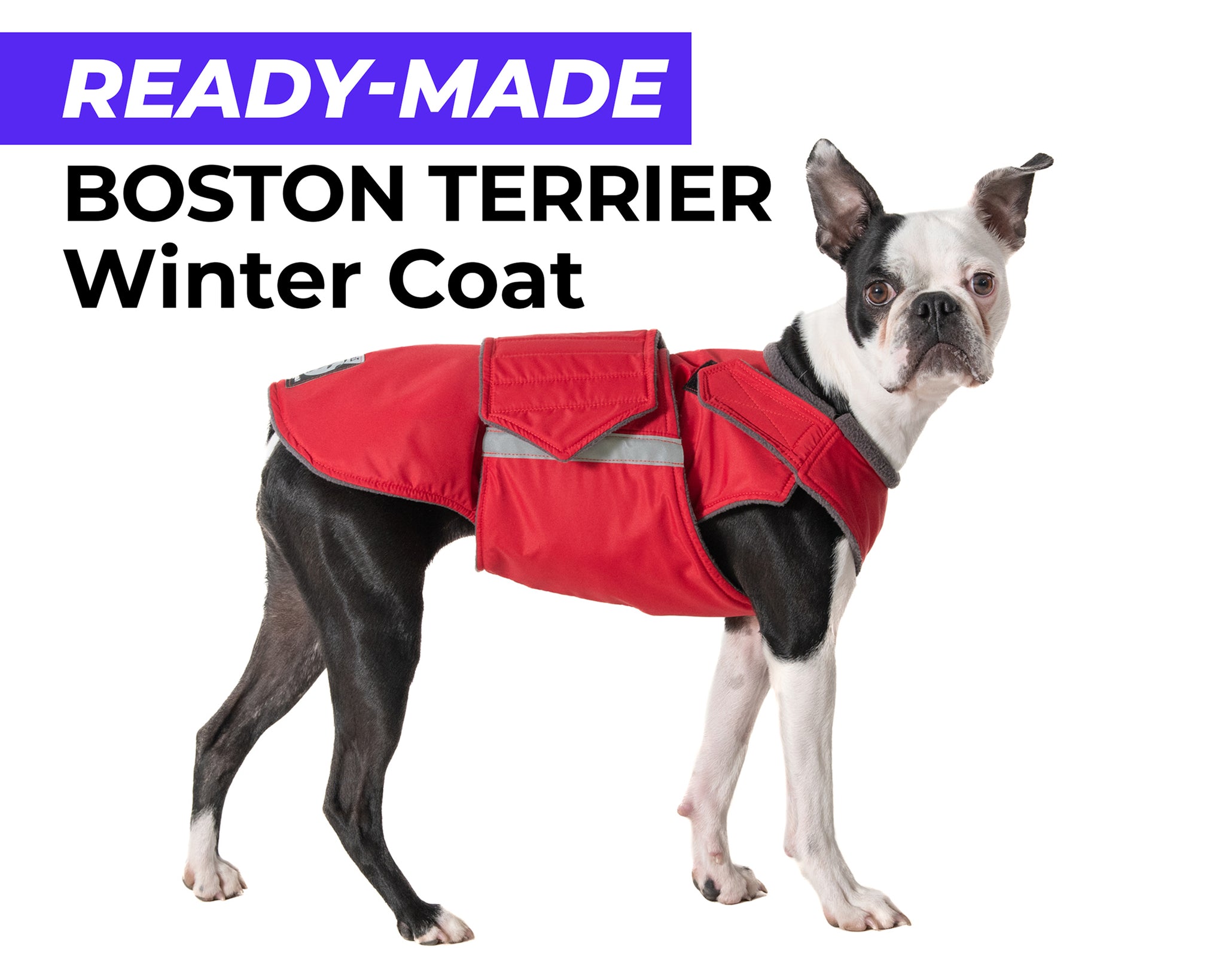 BOSTON TERRIER WINTER COAT - READY-MADE