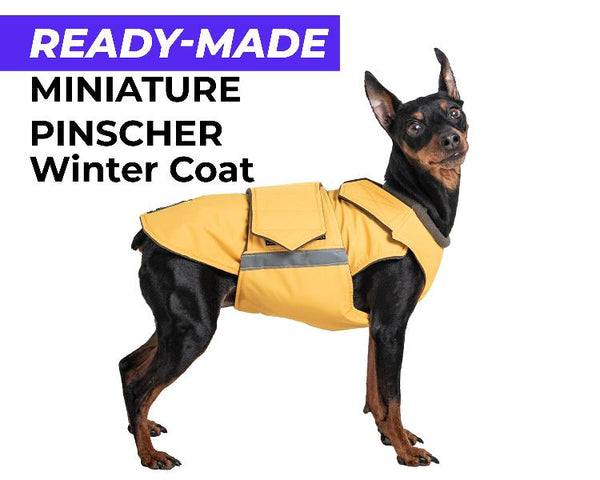 MINIATURE PINSCHER WINTER COAT - READY-MADE