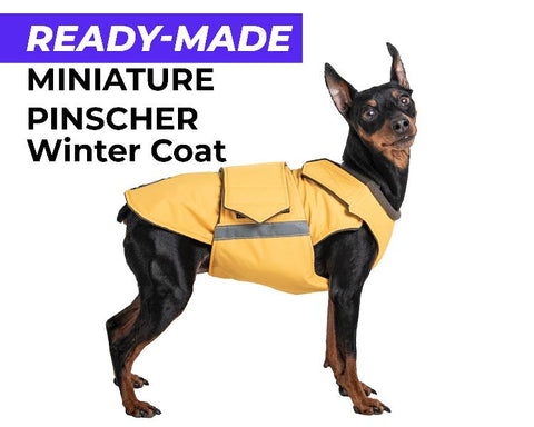 MINIATURE PINSCHER WINTER COAT - READY-MADE