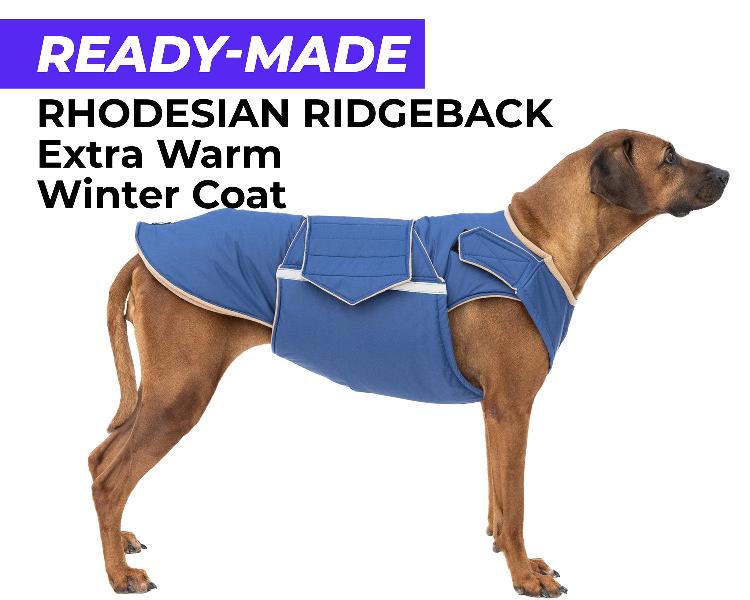 RHODESIAN RIDGEBACK EXTRA WARM WINTER COAT - READY-MADE
