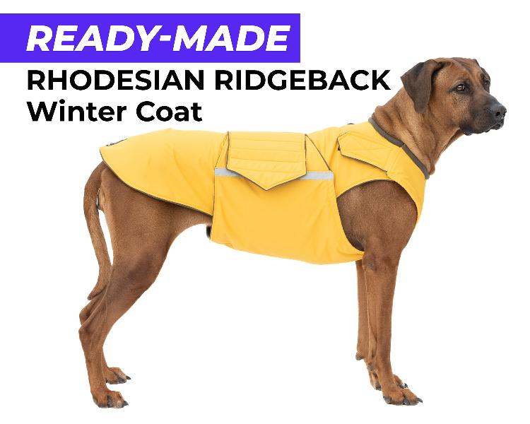 RHODESIAN RIDGEBACK WINTER COAT - READY-MADE