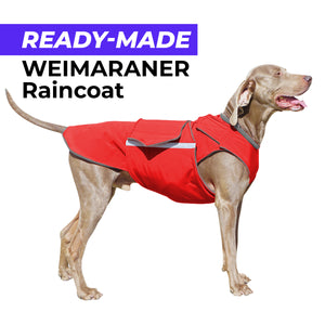 WEIMARANER RAINCOAT - READY-MADE