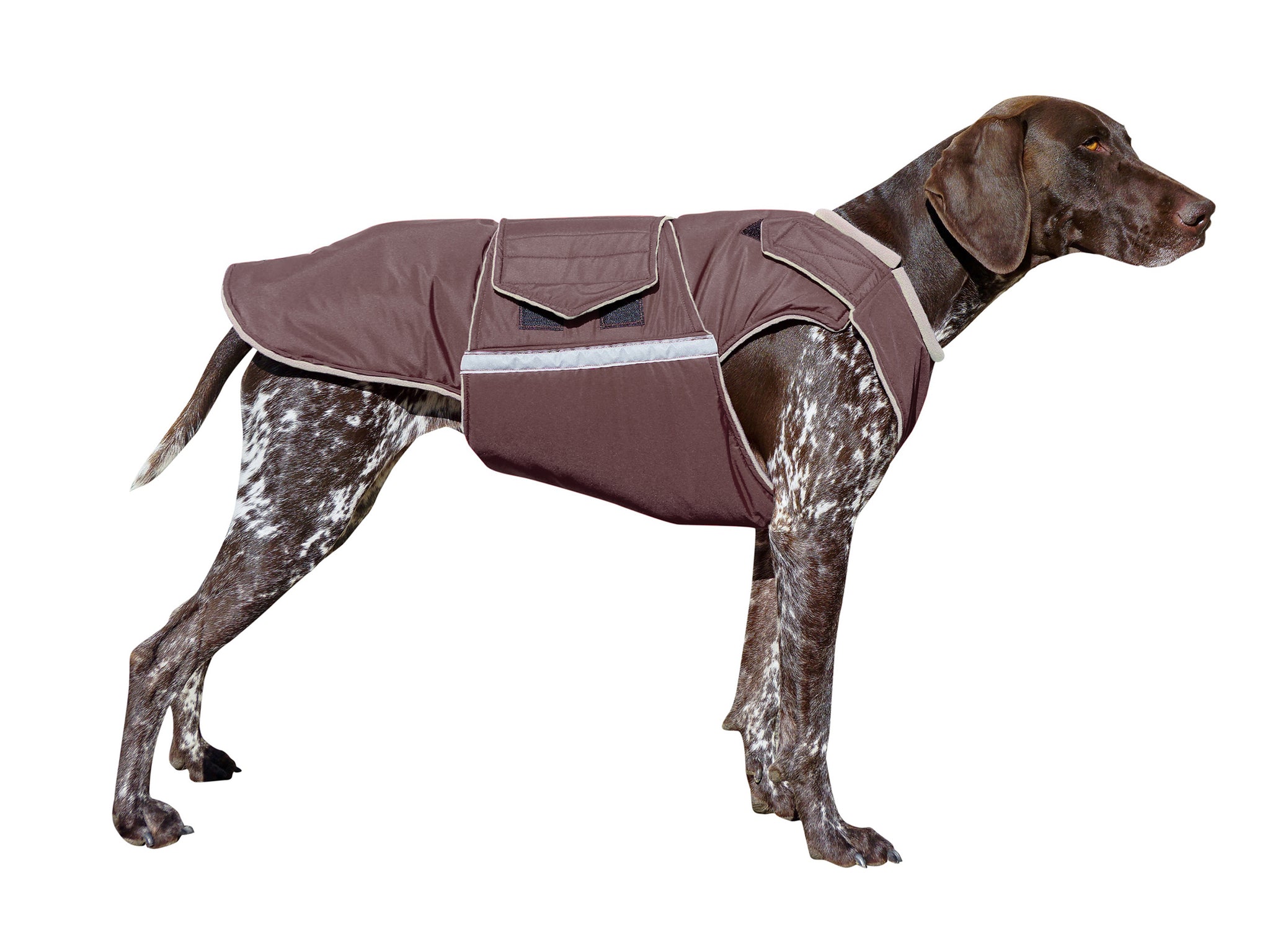 POINTER WINTER DOG COAT / MADE TO ORDER