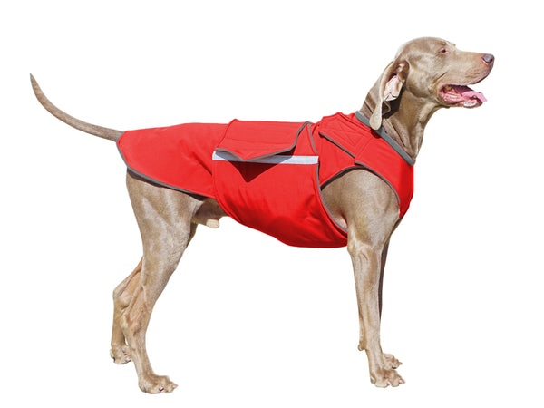 WEIMARANER RAINCOAT - READY-MADE