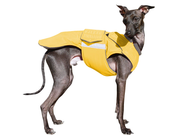 ITALIAN GREYHOUND RAINCOAT - READY-MADE