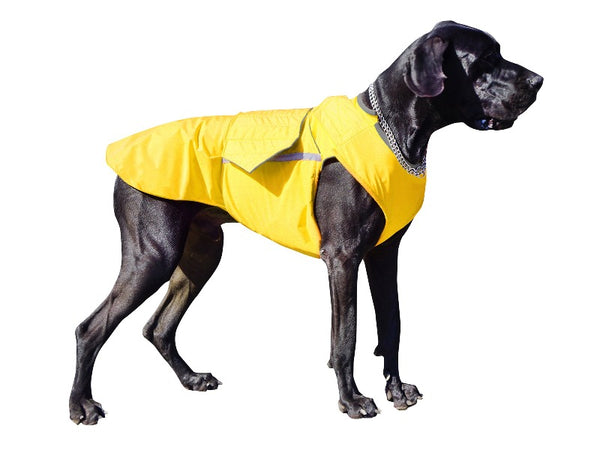 GREAT DANE RAINCOAT - READY-MADE