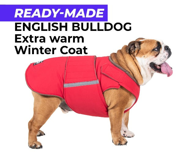 ENGLISH BULLDOG EXTRA WARM WINTER COAT - READY-MADE