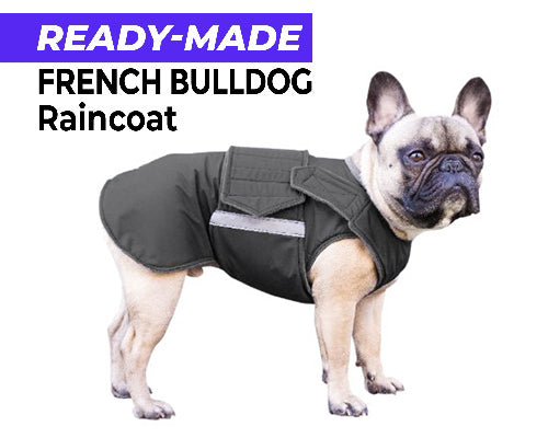 FRENCH BULLDOG RAINCOAT - READY-MADE