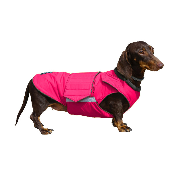 DACHSHUND WINTER COAT - READY-MADE