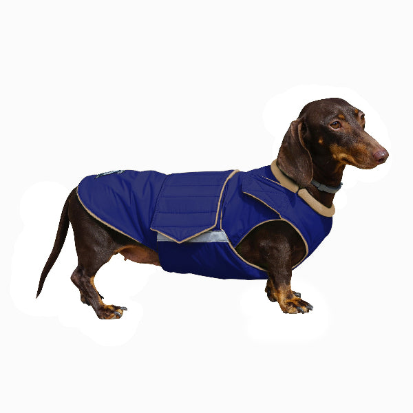 DACHSHUND WINTER COAT - READY-MADE