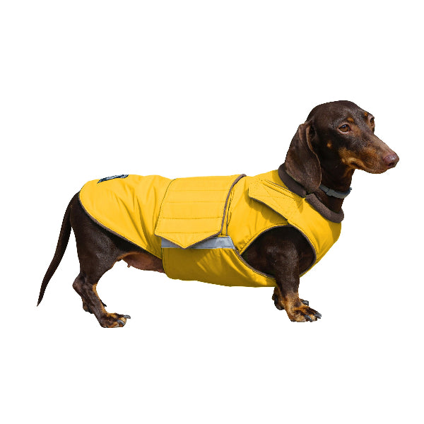 DACHSHUND WINTER COAT - READY-MADE
