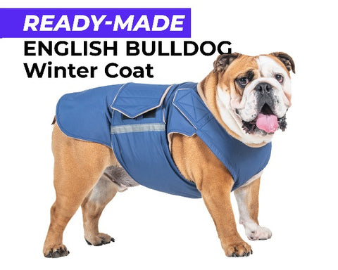 ENGLISH BULLDOG WINTER COAT - READY-MADE