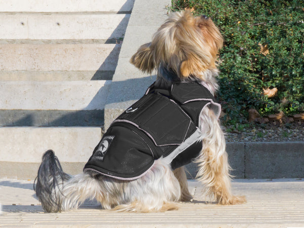 YORKSHIRE TERRIER RAINCOAT - READY-MADE