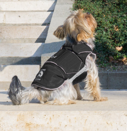 YORKIE WINTER COAT - READY-MADE