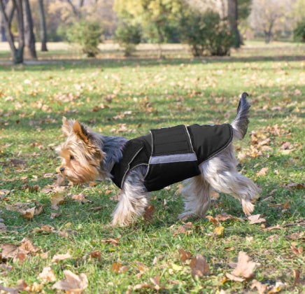 YORKIE WINTER COAT - READY-MADE