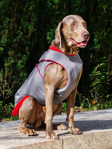 WEIMARANER EXTRA WARM WINTER DOG COAT / MADE TO ORDER