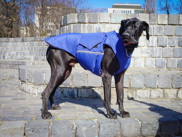 GREAT DANE EXTRA WARM WINTER DOG COAT / MADE TO ORDER