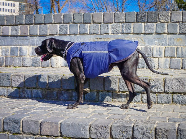 GREAT DANE EXTRA WARM WINTER COAT - READY-MADE