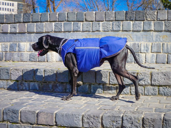 GREAT DANE EXTRA WARM WINTER DOG COAT / MADE TO ORDER