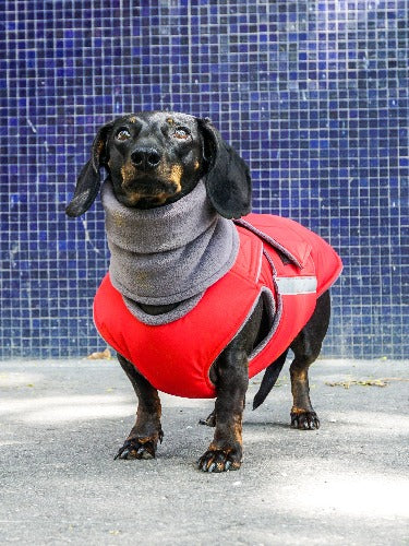 DACHSHUND EXTRA WARM WINTER DOG COAT + NECK WARMER/ MADE TO ORDER