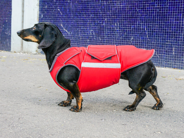 DACHSHUND EXTRA WARM WINTER DOG COAT / MADE TO ORDER