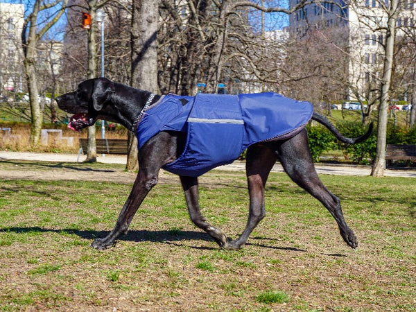 GREAT DANE EXTRA WARM WINTER COAT - READY-MADE