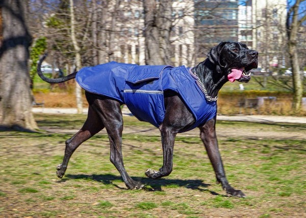 GREAT DANE EXTRA WARM WINTER COAT - READY-MADE