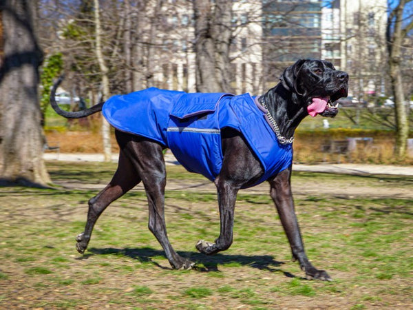 GREAT DANE EXTRA WARM WINTER DOG COAT / MADE TO ORDER