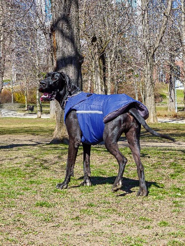 GREAT DANE EXTRA WARM WINTER COAT - READY-MADE