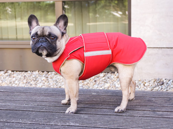 FRENCH BULLDOG EXTRA WARM WINTER DOG COAT / MADE TO ORDER