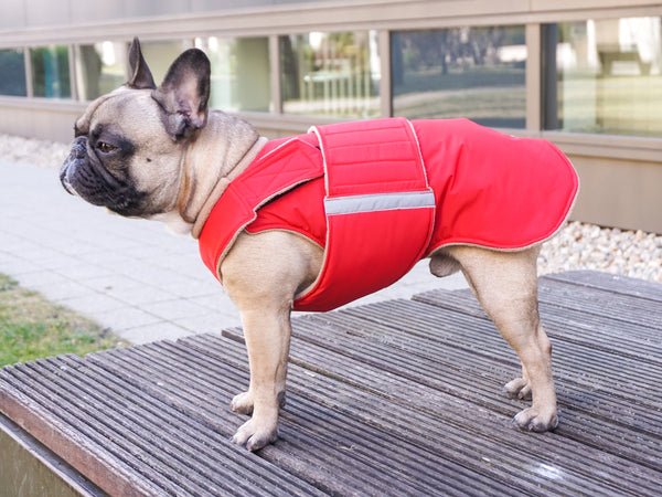 FRENCH BULLDOG EXTRA WARM WINTER DOG COAT / MADE TO ORDER