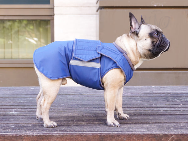 FRENCH BULLDOG DOG RAINCOAT / MADE TO ORDER