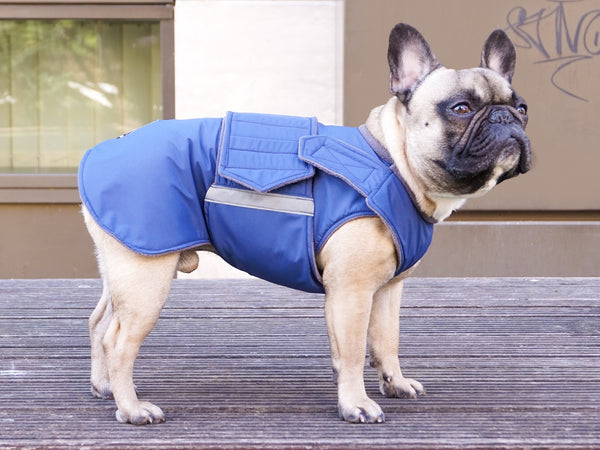 FRENCH BULLDOG DOG RAINCOAT / MADE TO ORDER