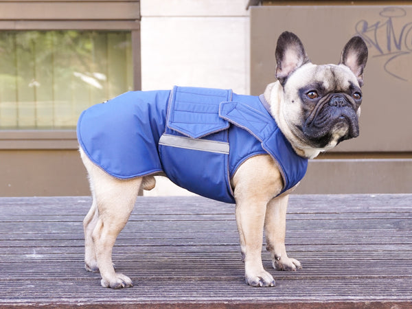 FRENCH BULLDOG DOG RAINCOAT / MADE TO ORDER