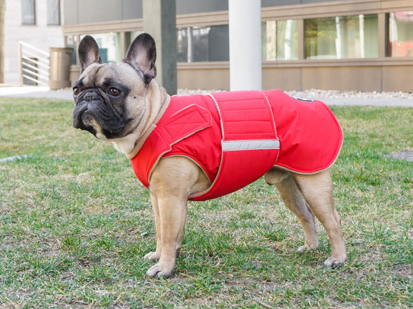 FRENCH BULLDOG EXTRA WARM WINTER DOG COAT / MADE TO ORDER