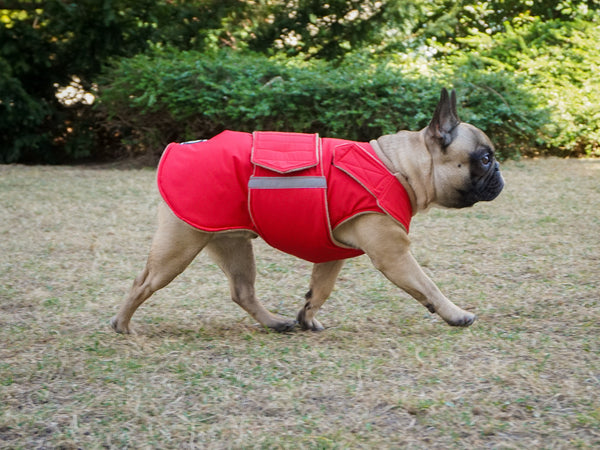 FRENCH BULLDOG EXTRA WARM WINTER DOG COAT / MADE TO ORDER