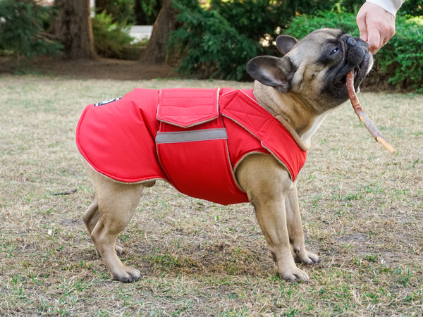 FRENCH BULLDOG EXTRA WARM WINTER DOG COAT / MADE TO ORDER