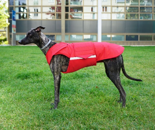 GREYHOUND EXTRA WARM WINTER COAT - READY-MADE