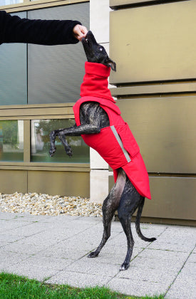 GREYHOUND EXTRA WARM WINTER COAT + NECK WARMER - READY-MADE