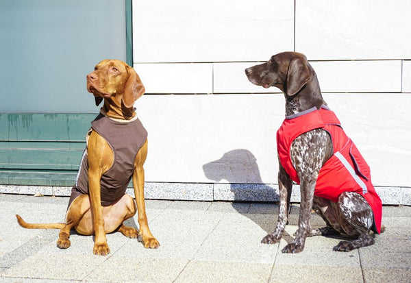 VIZSLA RAINCOAT - READY-MADE