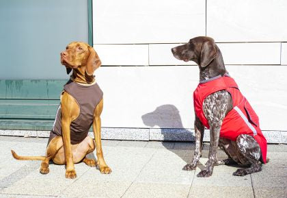 VIZSLA WINTER COAT - READY-MADE