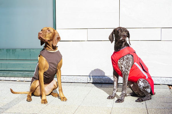 VIZSLA RAINCOAT - READY-MADE