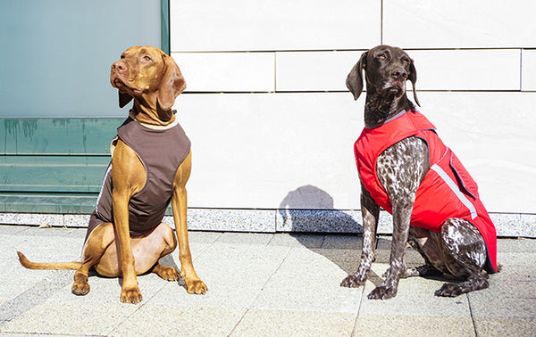 VIZSLA WINTER COAT - READY-MADE