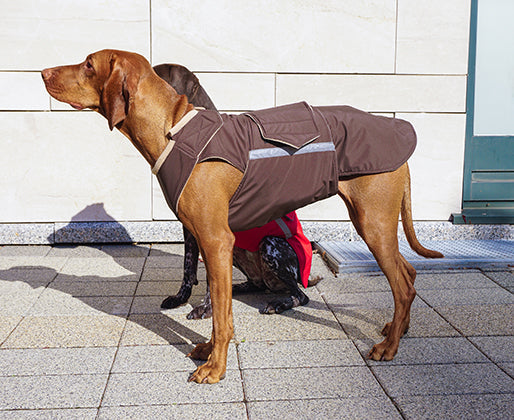 VIZSLA RAINCOAT - READY-MADE