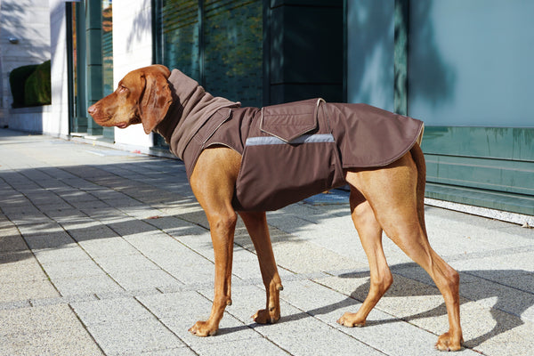 VIZSLA WINTER DOG COAT + NECK WARMER/ MADE TO ORDER