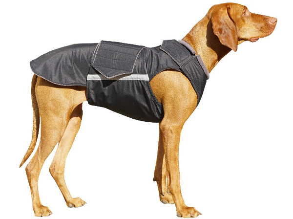 VIZSLA WINTER DOG COAT / MADE TO ORDER