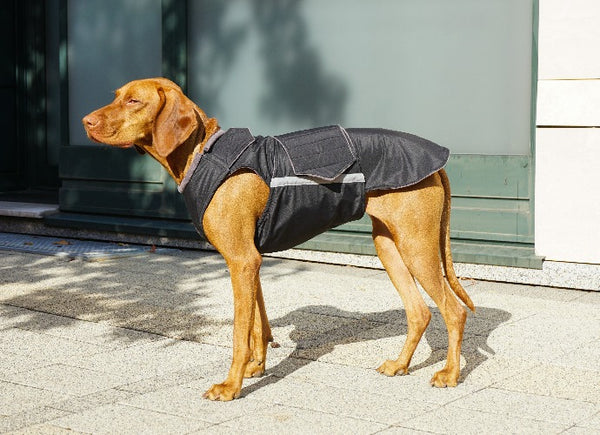 VIZSLA WINTER DOG COAT / MADE TO ORDER