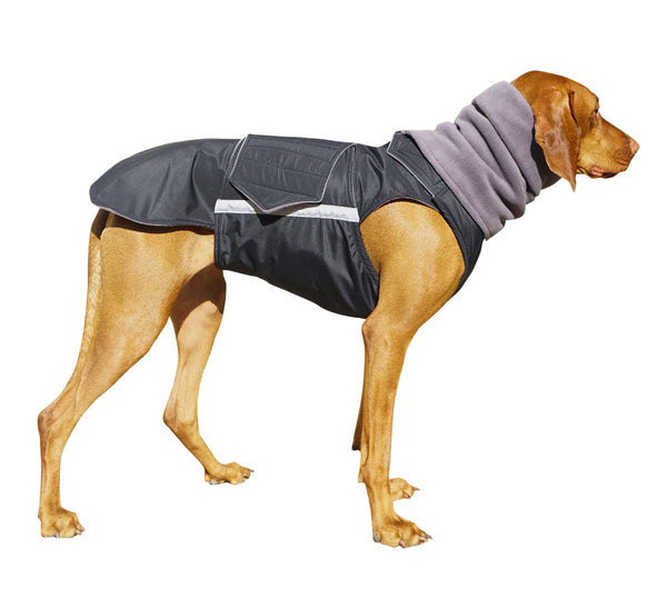 VIZSLA WINTER DOG COAT + NECK WARMER/ MADE TO ORDER