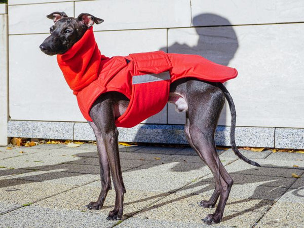 ITALIAN GREYHOUND EXTRA WARM WINTER DOG COAT + NECK WARMER/ MADE TO ORDER